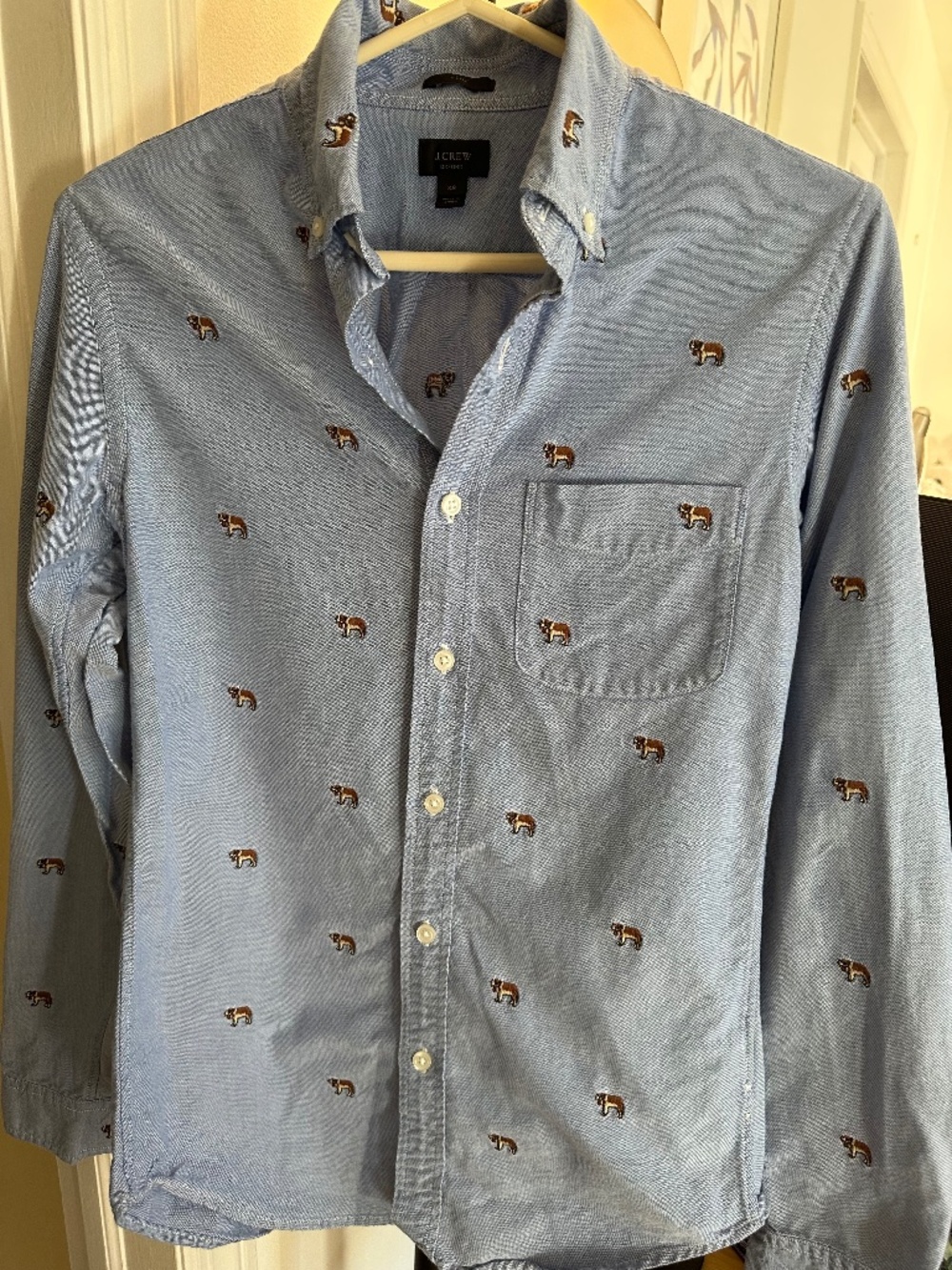 J. Crew Oxford Shirt